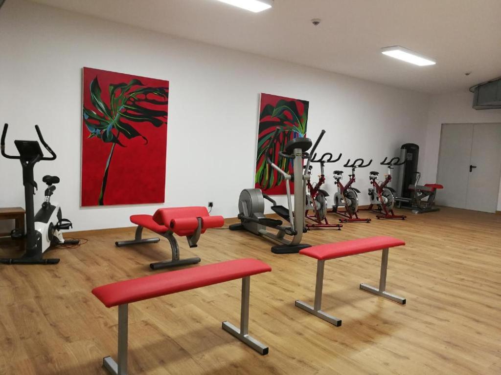 Playa Joyel Family Rooms ノハ エクステリア 写真